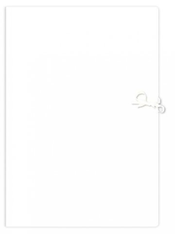 Teczka wiązana A4+ biała 350g Interdruk