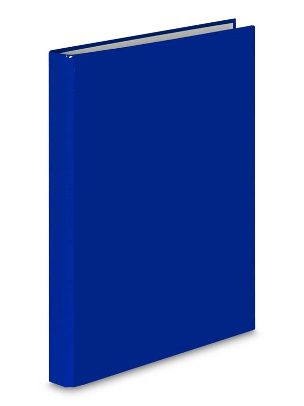 SEGREGATOR VAUPE 4-RINGOWY A4 40 MM FCK